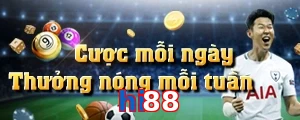 hi88